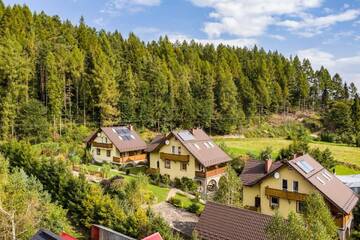 Фотографии Апартаменты Apartamenty Zielona Owieczka г. Замок Нидзица (Польша) №2 Фото Апартаменты Apartamenty Zielona Owieczka г. Замок Нидзица 2