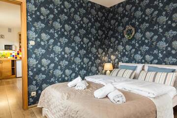 Фото номера Апартаменты с 1 спальней Апартаменты Apartamenty Zielona Owieczka г. Замок Нидзица 7